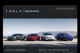 What states have tesla insurance