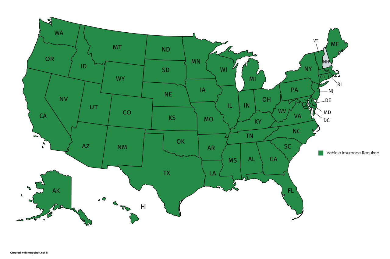 Insurance state car auto states cost money