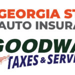 State of georgia insurance laws