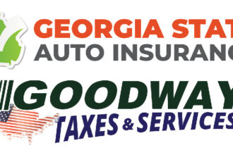 State of georgia insurance laws