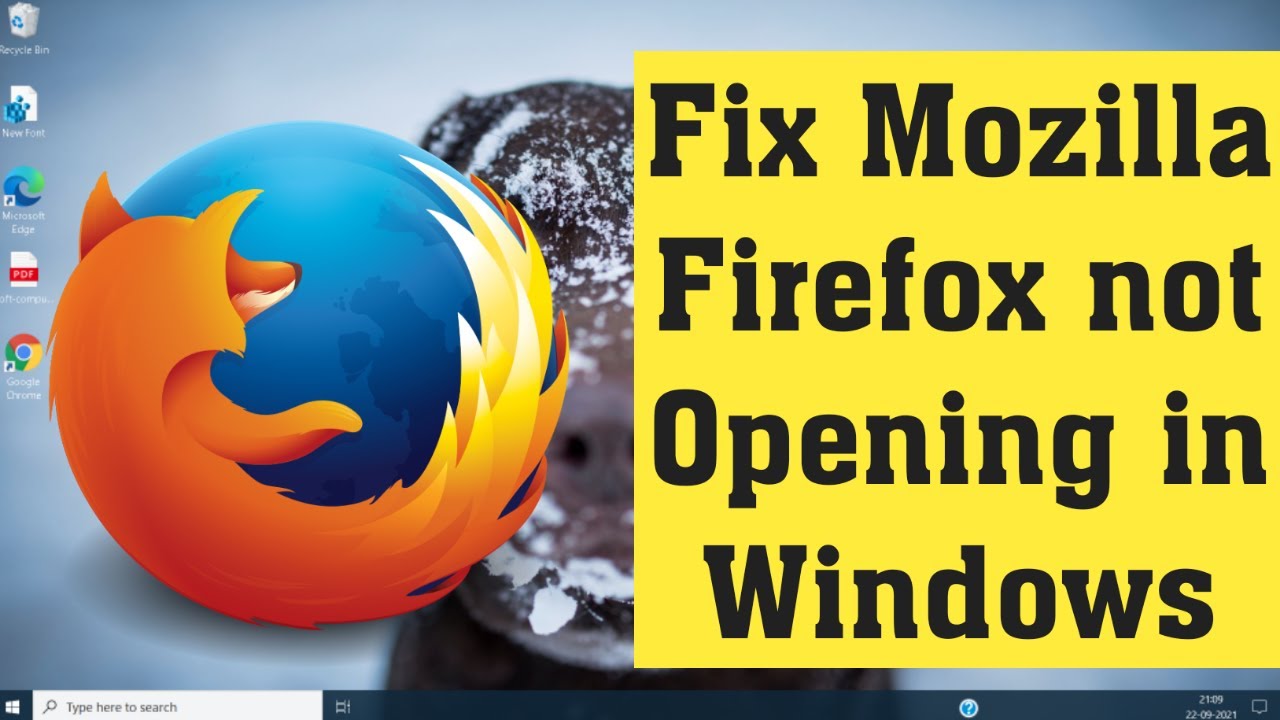 Cara mengatasi firefox tidak bisa dibuka windows 7