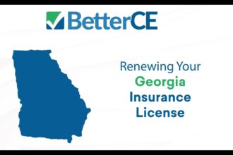 Ga state insurance