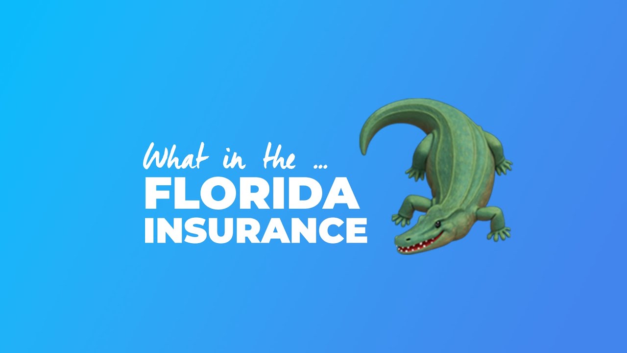 State of florida division of insurance