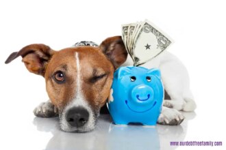 Washington state pet insurance