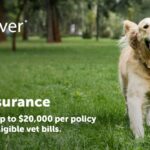 Dog insurance washington state