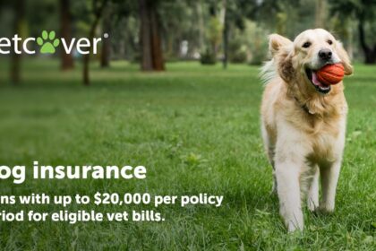 Dog insurance washington state