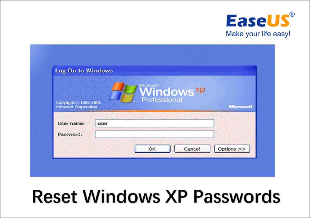 Windows password xp administrator reset whistler beta me crack accounts admin 2010 betaarchive recovery forgot remember own