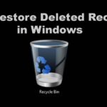 Deleted recycle recover