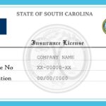 State of south carolina insurance