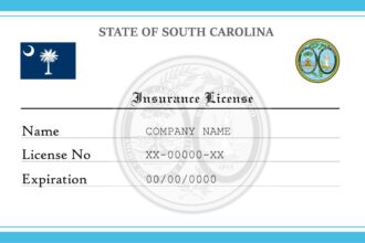 State of south carolina insurance