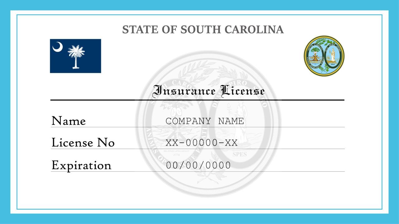 State of south carolina insurance