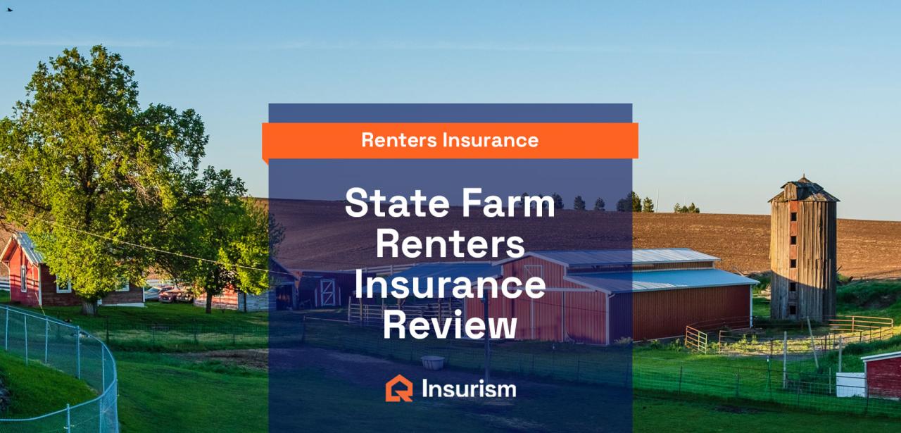 Insurance renters