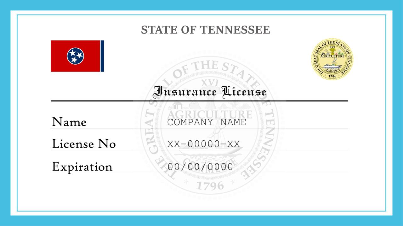 Tn state insurance